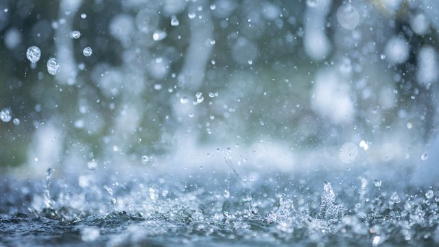 Nahaufnahme von Regentropfen, die auf eine Wasseroberfläche prallen und dabei kleine Spritzer und Wellen erzeugen; unscharfer, natürlicher Hintergrund mit weichen Lichtreflexionen.