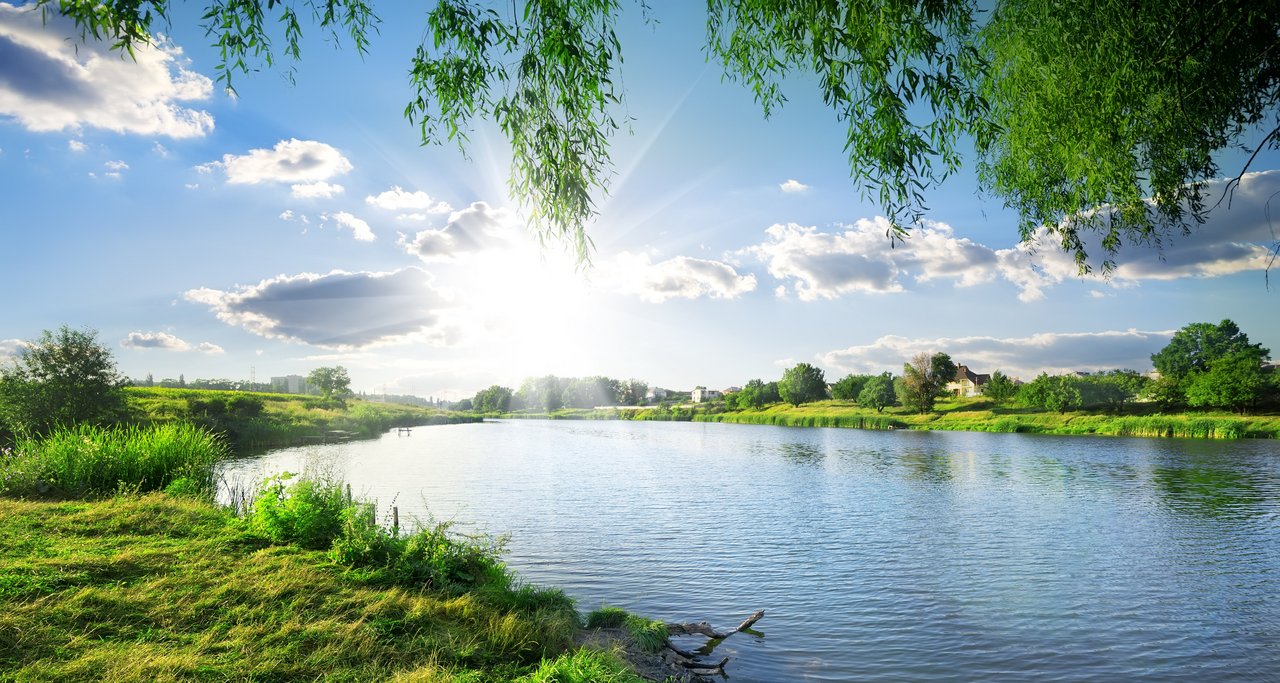 Blick auf einen ruhigen Fluss oder See an einem sonnigen Tag. Im Vordergrund befindet sich eine grasbewachsene Uferböschung mit grünem Buschwerk, während sich das Wasser bis zum Horizont erstreckt. Am gegenüberliegenden Ufer sind grüne Wiesen, Bäume und vereinzelte Häuser sichtbar. Die Sonne scheint durch einige Wolken hindurch und lässt Lichtstrahlen über die Landschaft fallen. Überhängende Zweige eines Baumes rahmen das Bild von oben ein.