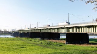 Die Josef-Kardinal-Frings-Brücke über den Rhein bei Tageslicht. Fahrzeuge, darunter Lkw, überqueren die Brücke. Im Vordergrund eine grüne Wiese mit einer spazierenden Person und einem Hund, klare Sicht auf Brückenpfeiler und stählerne Tragstruktur.