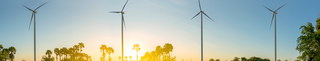 image alt text