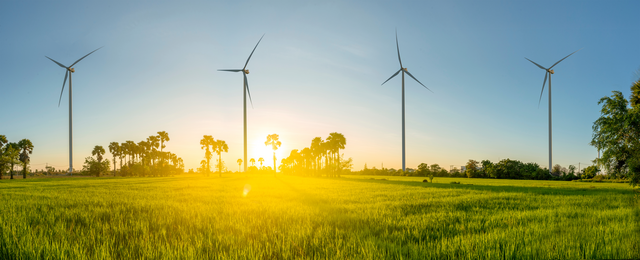 „Weitläufiges grünes Feld mit hohem Gras unter klarem, blauem Himmel. Die tief stehende Sonne wirft goldenes Licht und lange Schatten. Im Hintergrund drehen sich vier große Windräder, umgeben von Palmen und Bäumen. Die Szene wirkt ruhig und symbolisiert erneuerbare Energien in natürlicher Umgebung.