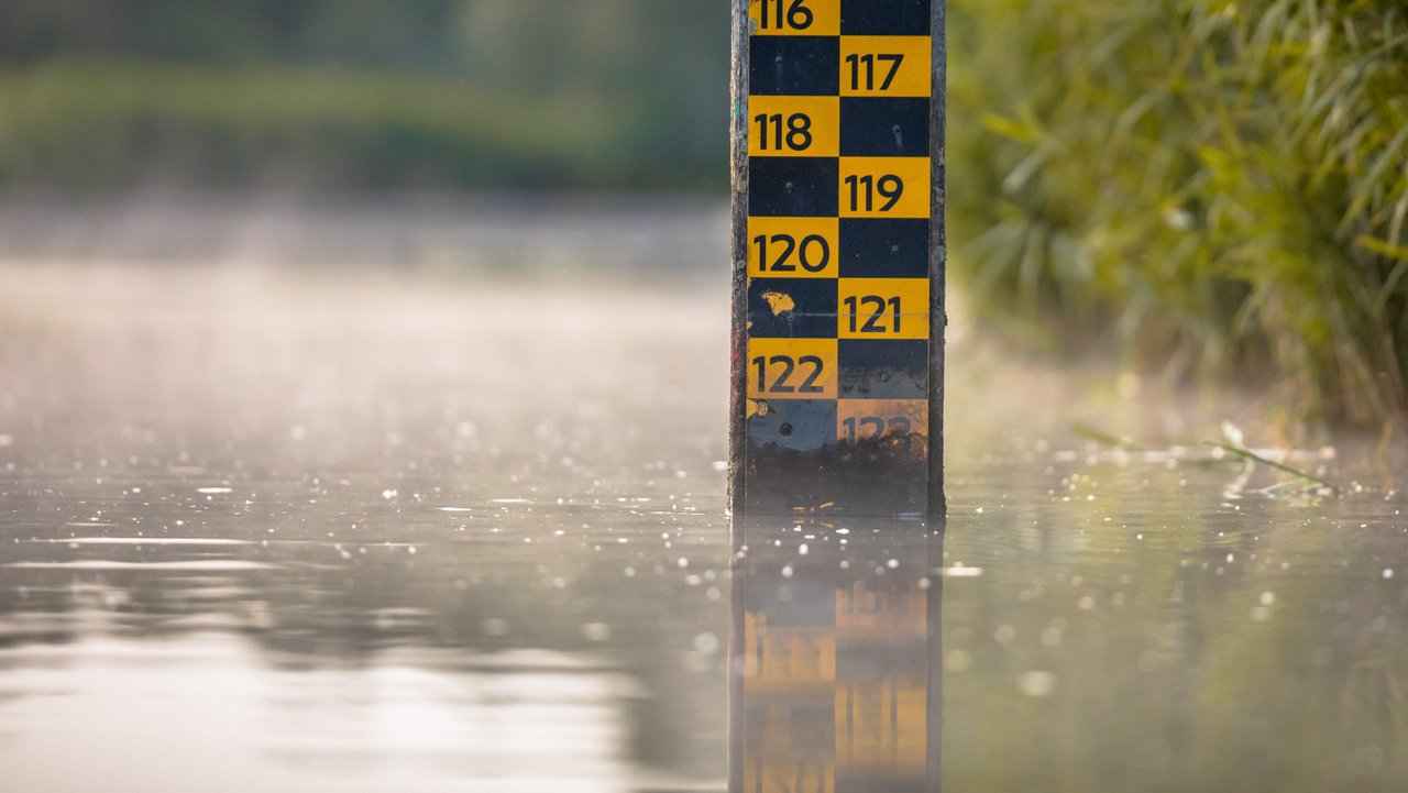 Ein Pegelstab steht im Wasser und zeigt die Wasserstände an. Die Skala auf dem Stab reicht von 113 bis 122, wobei die Zahlen in gelber Farbe auf schwarzem Hintergrund geschrieben sind. Der Pegelstab ist teilweise im Wasser eingetaucht, und das Wasser reflektiert die unteren Zahlen der Skala. Im Hintergrund sind unscharfe grüne Pflanzen zu sehen.