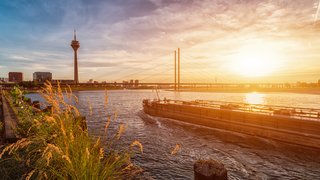 Ein Frachtschiff fährt bei Sonnenuntergang über den Rhein in Düsseldorf. Links im Hintergrund ist der Rheinturm zu sehen, daneben eine moderne Schrägseilbrücke. Im Vordergrund wachsen hohe Gräser am Ufer, die im warmen Licht leuchten.
